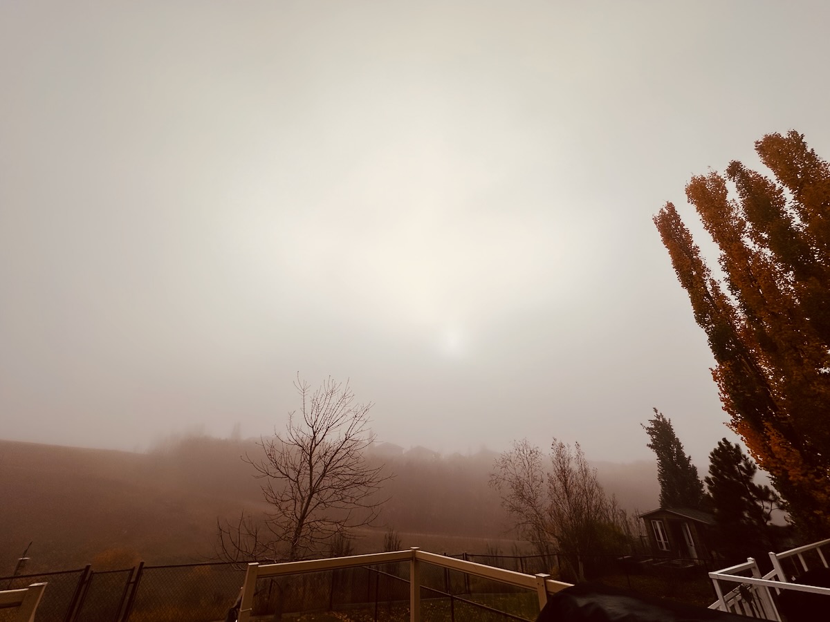 foggy solar eclipse